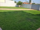 Plantio de grama no pátio da Câmara Municipal